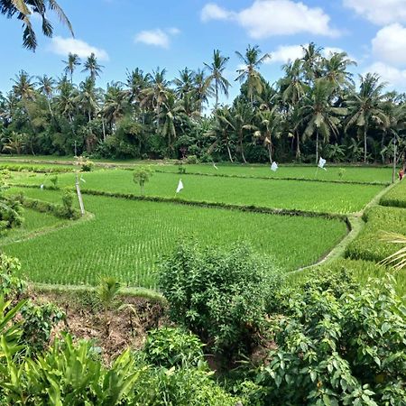 Sunset Pandawa Villa Ubud  Exterior photo