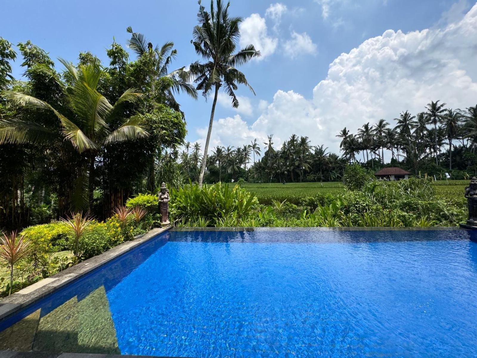 Sunset Pandawa Villa Ubud  Exterior photo
