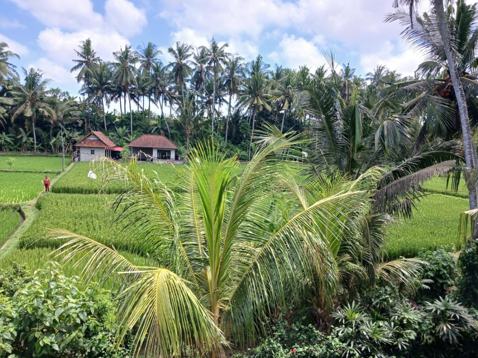 Sunset Pandawa Villa Ubud  Exterior photo